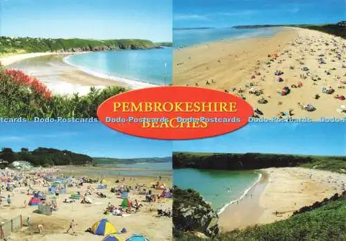 D270529 Pembrokeshire Beaches Eden Multi View