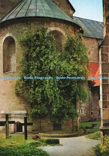 D272397 Hildesheim Der Tausendjahrige Rosenstock Schoning Gebrüder Schmidt