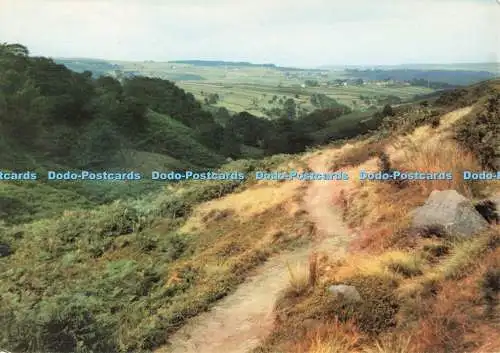 D270567 Yorkshire Das Tal der Bronte Falls Haworth Moor Walter Scott