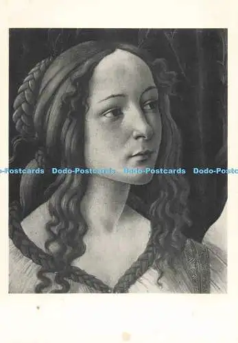 D265819 National Gallery Venus and Mars Detail Head of Venus Sandro Botticelli