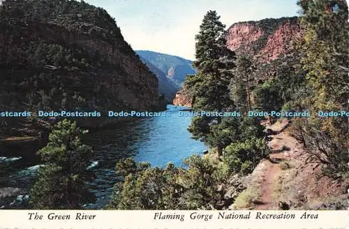 D270598 The Green River Flaming Gorge National Recreation Area George Mc Company