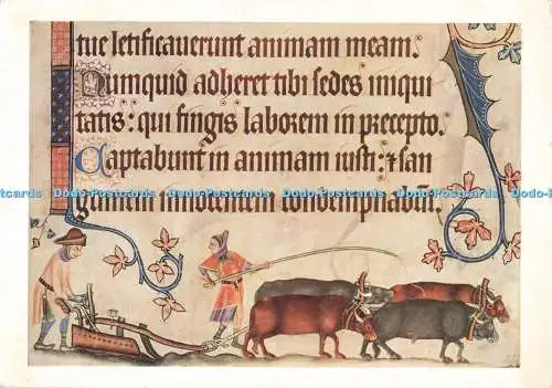 D265840 British Museum Ploughing from the Luttrell Psalter English about A D 134
