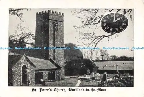 D265841 Buckland im Moor St. Peter Kirche 12. Jahrhundert Südwand des N