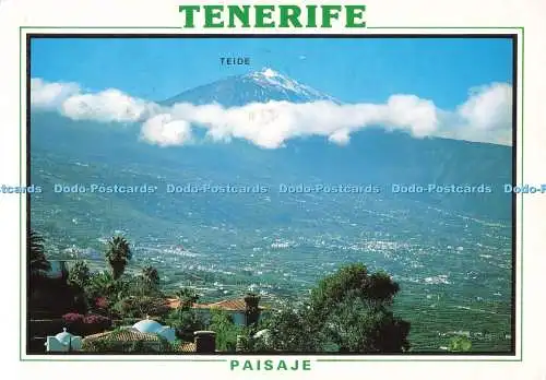 D267350 Tenerife Paisaje Teide Orotava Valley Garcia y Correa S L