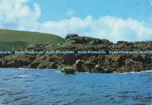 D270658 Cornish Riviera Seal Island St Ives Studio Casa Mia