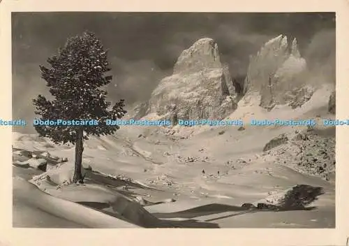 D267410 Langkofelgruppe dall Seiser Alm Dolomiten Amonn Wolfram Knoll