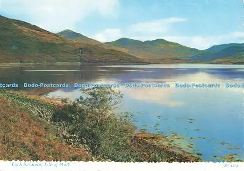 D270676 Isle of Mull Loch Scridain Valentine