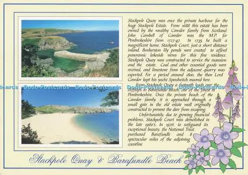 D272548 Stackpole Quay und Barafundle Beach Barafundle Beach vom West Alan