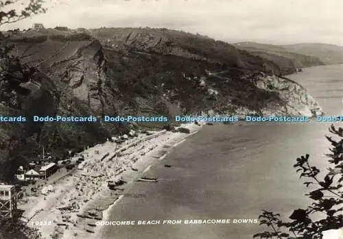 D267431 Oddicombe Beach von Babbacombe Downs Harvey Barton and Son Ltd RP