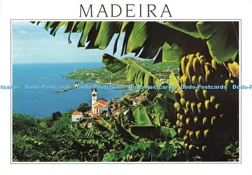 D270695 Madeira Funchal Westernansicht Hans Huber F Ribeiro