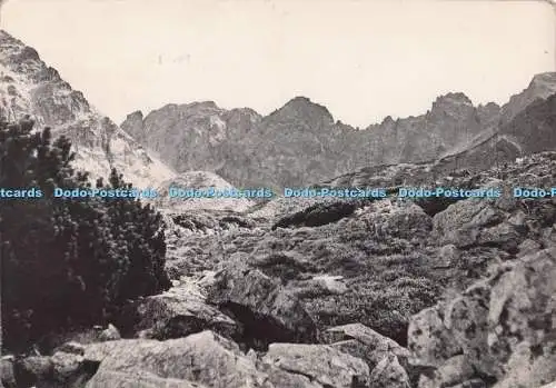 D272620 Tatry Wysokie Dolina Panszczyca Buch M Zaleski 1971