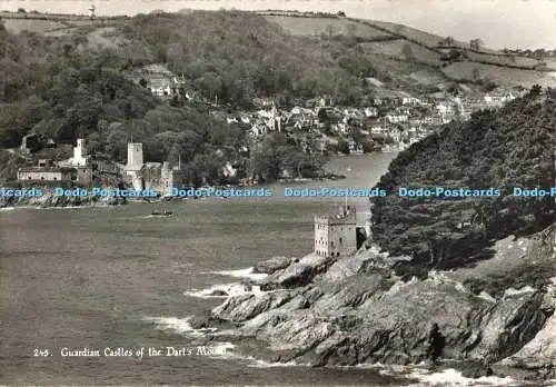 D267514 Guardian Castles of the Dart Mouth RP