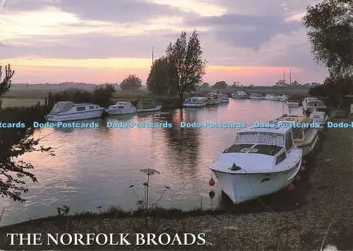 D270832 The Norfolk Broads River Ant J Salmon