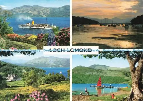 D266120 Loch Lomond Innes and Cromb Ltd E Ludwig Multi View