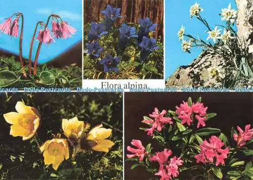 D270878 Flora Alpina Photoglob Multi View