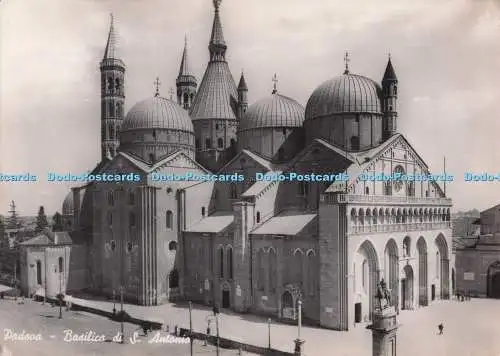 D272753 Padova Basilica di S Antonio RP