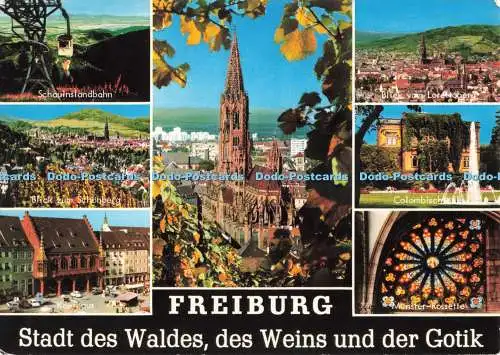 D267636 Freiburg Stadt des Waldes des Weins und der Gotik Blick zum Schönberg Bi