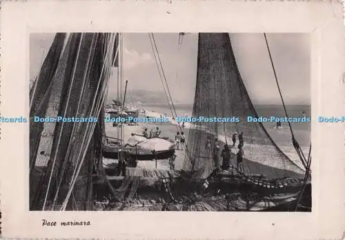 D272764 Pace Marinara Fotocelere RP