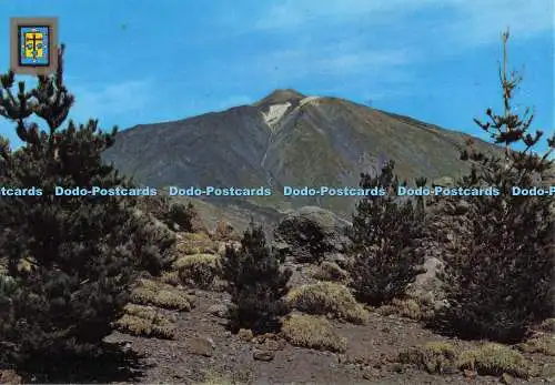 D272831 Santa Cruz de Tenerife Teide Crest Fisa I G No 36 Armando Perez