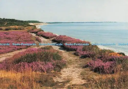 D272833 Suffolk Dunwich Heath National Trust Larkfield Printing Company Limited