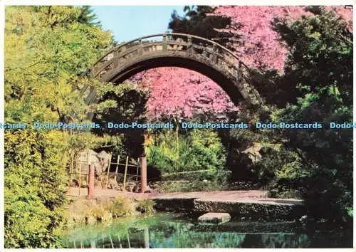 D266214 San Francisco Kalifornien Japanischer Teegarten im Herzen von Golden Gate