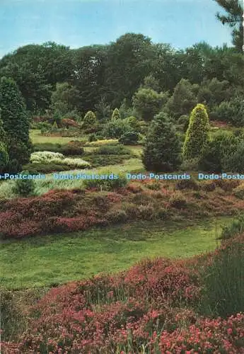 D270971 Windsor Great Park The Valley Gardens Heidegarten Jarrold