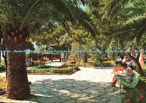 D267724 Spotorno Western Riviera Palmen Brunner Ditta Beiso