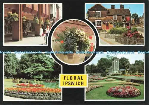 D266239 Floral Ipswich Town Centre Upper Aboretum Ipswich Borough Council Multi