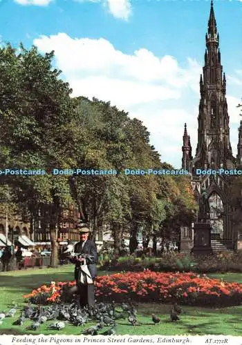 D271094 Edinburgh Fütterung der Tauben in Princess Street Gardens Valentine