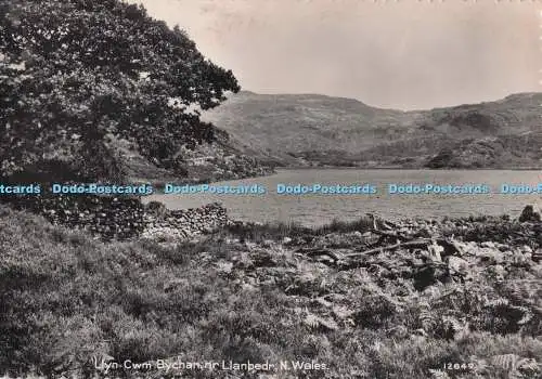 D273050 Llyn Cwm Bychan Nr Llanbedr N Wales Photo Precision RP