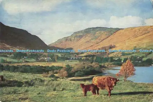 D267943 Lochearnhead West Perthshire mit Blick auf Glen Ogle Burn und Cox Mich