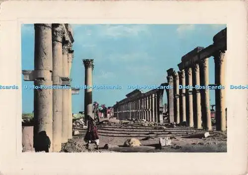 D273059 Palmyra Columnates Jeangul RP