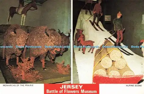 D268003 Jersey Battle of Flowers Museum Alpine Scene A C Gallie Multi View