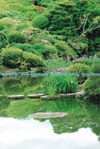 D271257 Japan See im Wald