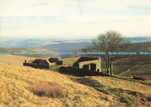 D268016 Yorkshire Wuthering Heights Haworth Moor Bronte Society Larkfield Printi