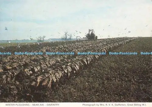 D268018 Daventry Winterpflug nahe A45 Northamptonshire Federation of Womens