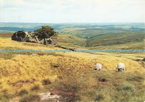 D268019 Yorkshire Wuthering Heights Haworth Moor Walter Scott