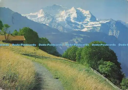 D273144 Interlaken Jungfrau 1960