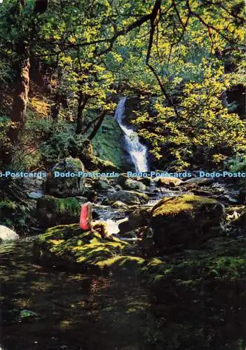 D271323 The Lower Falls Dolgoch J Arthur Dixon