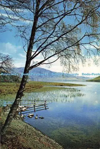 D271331 Selkirkshire St Mary Loch J Arthur Dixon