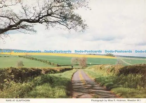 D268078 Vergewaltigung in Glapthorn Northamptonshire Federation of Womens Institutes Richter