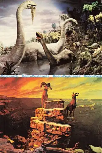 D271339 Disneyland A Magical Realm of Fantasy Walt Disney Productions Multi View