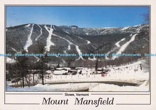 D273195 Vermont Stowe Mount Mansfield Alois Mayer 1994
