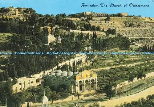 D268202 Jerusalem The Church of Gethsemane Star Cards