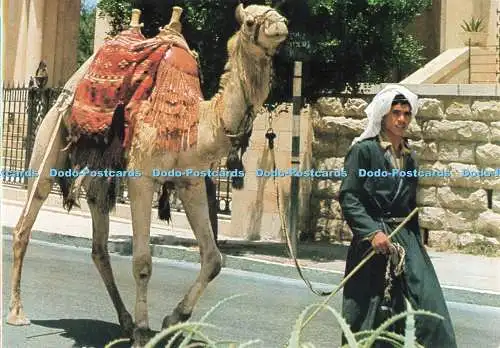 D268205 Jerusalem Altstadt Straßenszene Sternenkarten