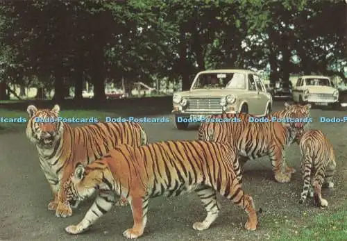 D268223 Betten Woburn Wildtierreich Woburn Park Jarrold