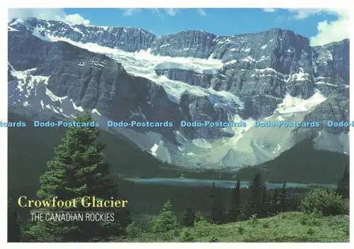 D268227 The Canadian Rockies Crowfoot Glacier Altitude Friesen Printers Carole H