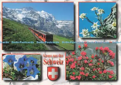 D273375 Gruss aus der Schweiz Kleine Scheidegg BE Jungfraubahn Photoglob Multi V