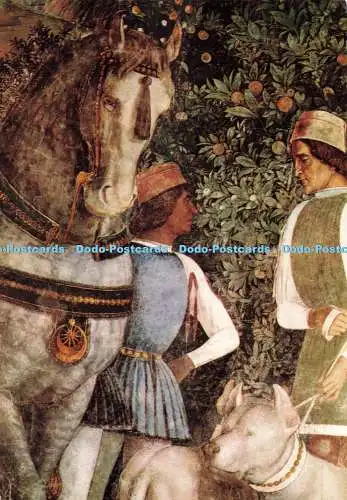 D271535 Mantova S Giorgio Castel Hochzeitssaal Ditta Pelloni