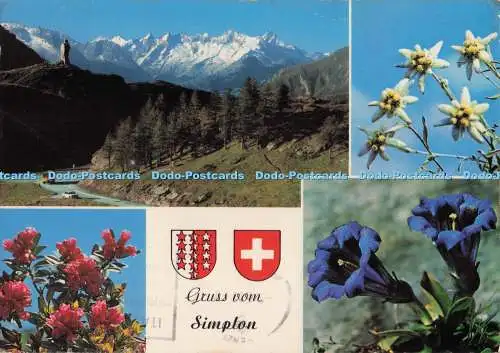 D273383 Gruss vom Simplon Suisse Blick auf Wannen und Finsteraarhorn Rud Suter N